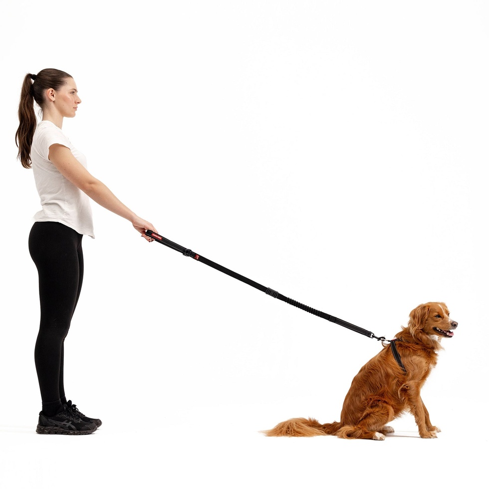 Zero Shock 40 Şok Absorbe Edici Köpek Kayışı - Kırmızı