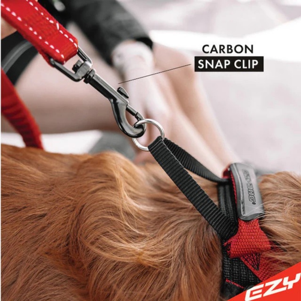 Leash Zero Shock Köpek Gezdirme Kayışı Siyah (122cm)