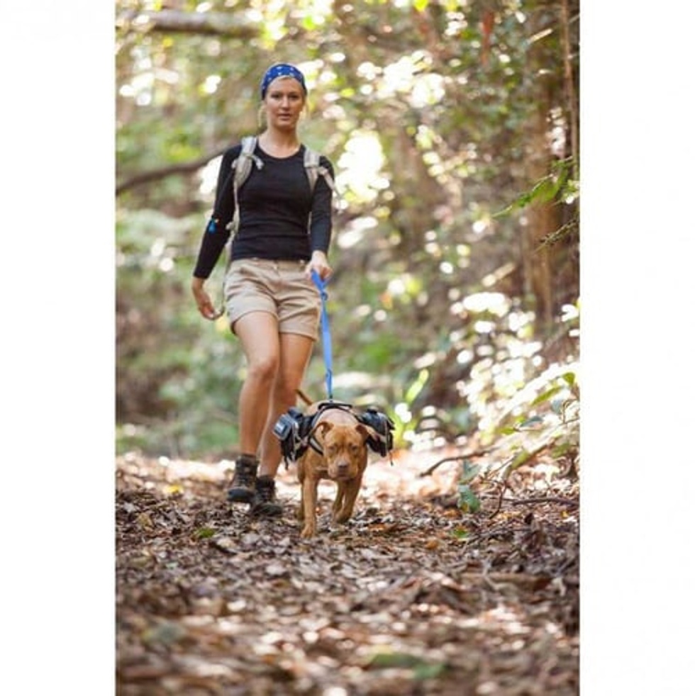 Köpek Sırt Çantası Saddle Bags Large