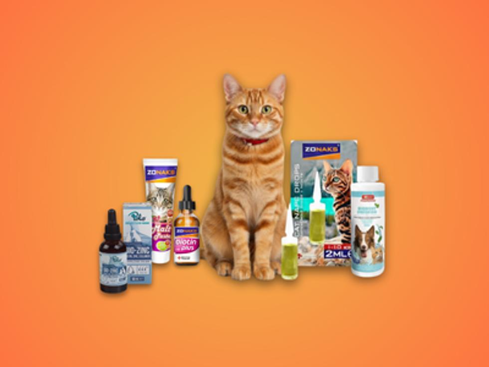 Kedi Sağlık Ürünü