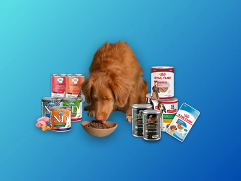 Köpek Konserve Maması