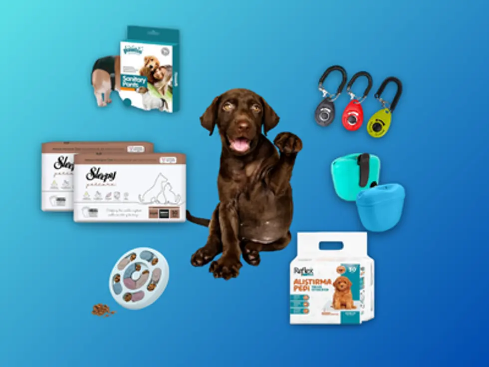 Köpek Eğitim Ürünü