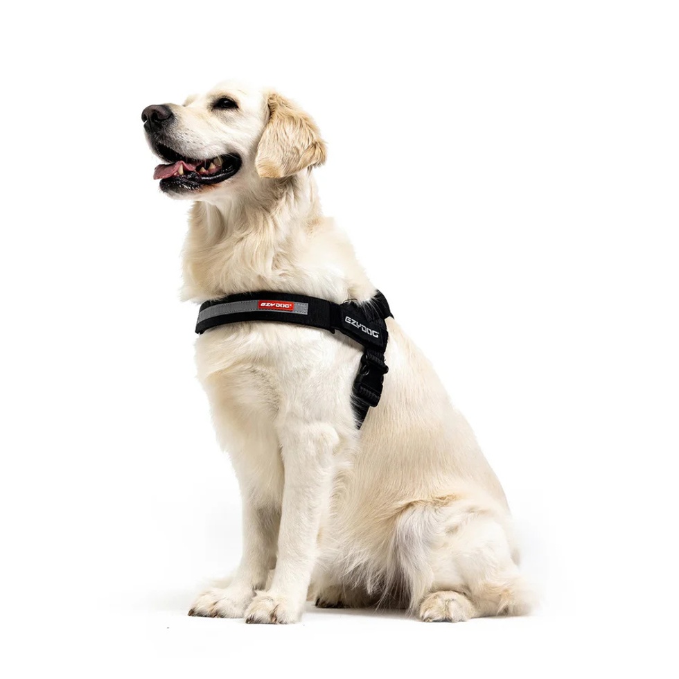Harness Express Köpek Göğüs Tasması