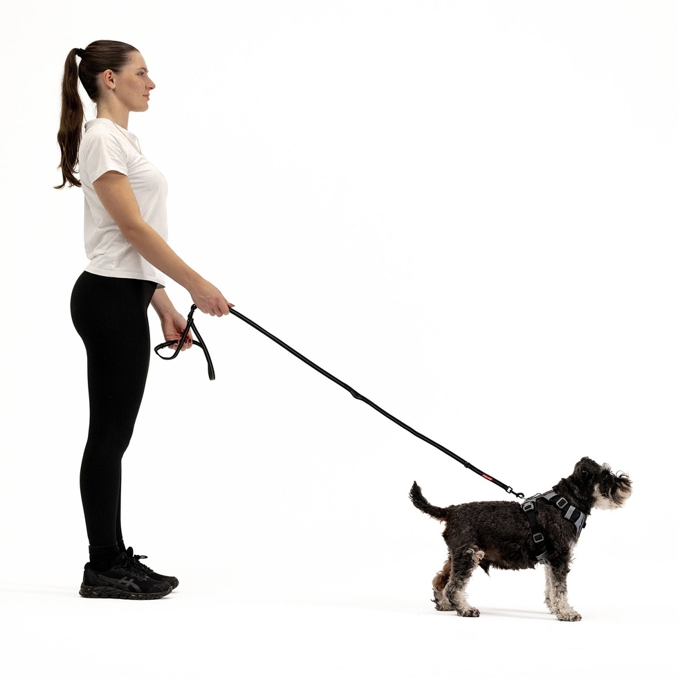 Vario 6 Lite - 6 Fonksiyonlu Gezdirme Tasması 12mm