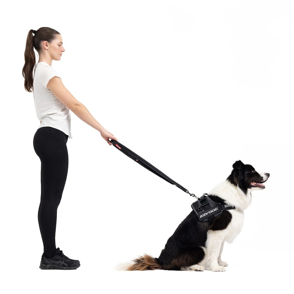 Vario 4 Çok Fonksiyonlu Gezdirme Tasması 25mm