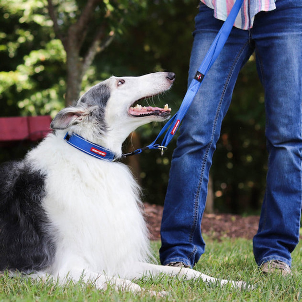 Vario 4 Çok Fonksiyonlu Gezdirme Tasması 25mm