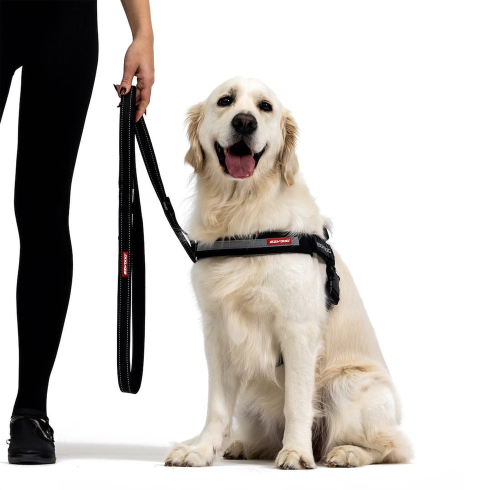 Trainer Soft Köpek Kayışı 25mm