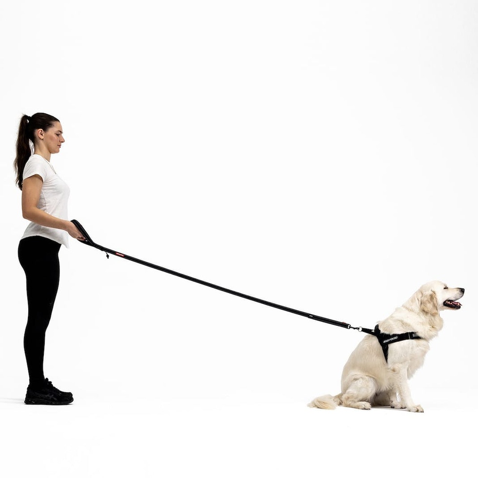 Trainer Soft Köpek Kayışı 25mm