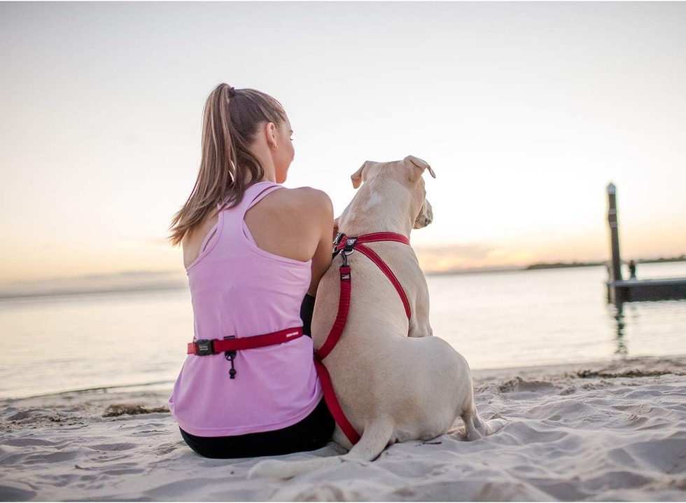 Leashes Road Runner Zero Shock Köpek Gezdirme Kayışı