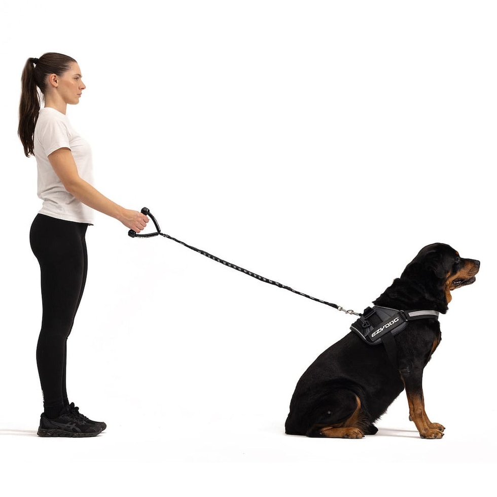 Leash Cujo 40'' Köpek Gezdirme Kayışı