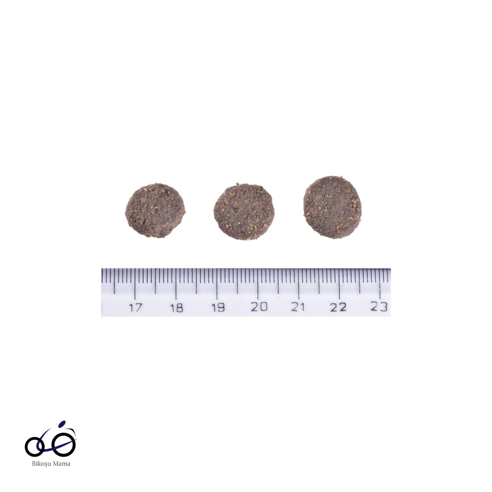 Hipoalerjenik Dog Show Champion Somon ve Ringa Balıklı Yetişkin Köpek Maması