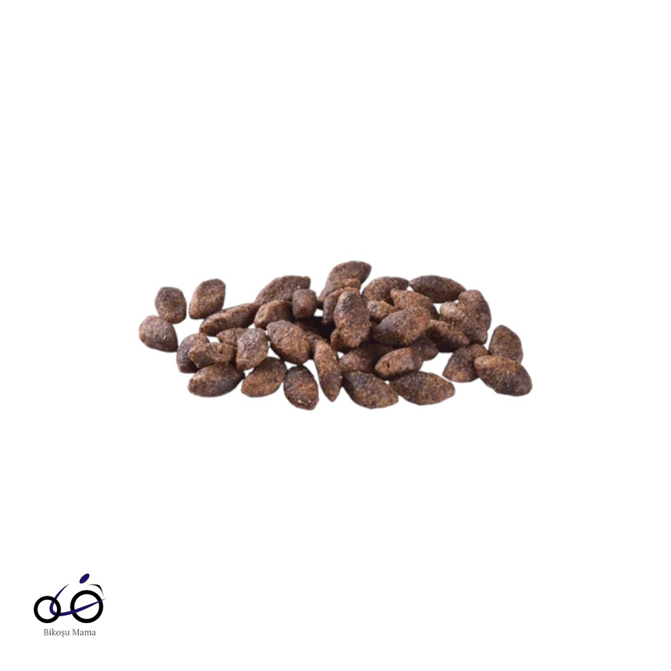 Sindirim Sistemi, Gıda İntoleransı Ve Deri Hassasiyetine Sahip Köpekler İçin Geyik Etli Mini Irk Köpekler İçin, Hipoalerjenik Kuzu Etli Tahılsız Yavru Köpek Maması Köpek Maması