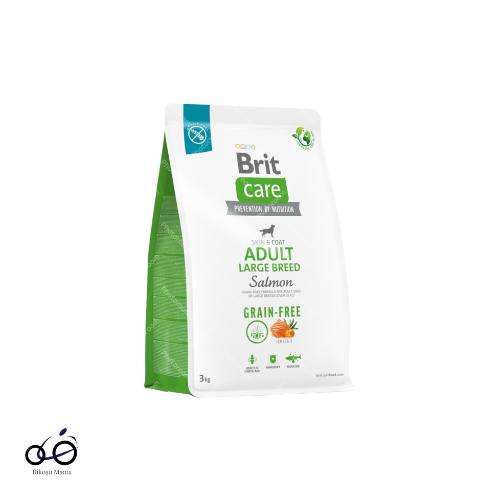 Skin & Coat Somonlu Tahılsız Büyük Irk Yetişkin Köpek Maması