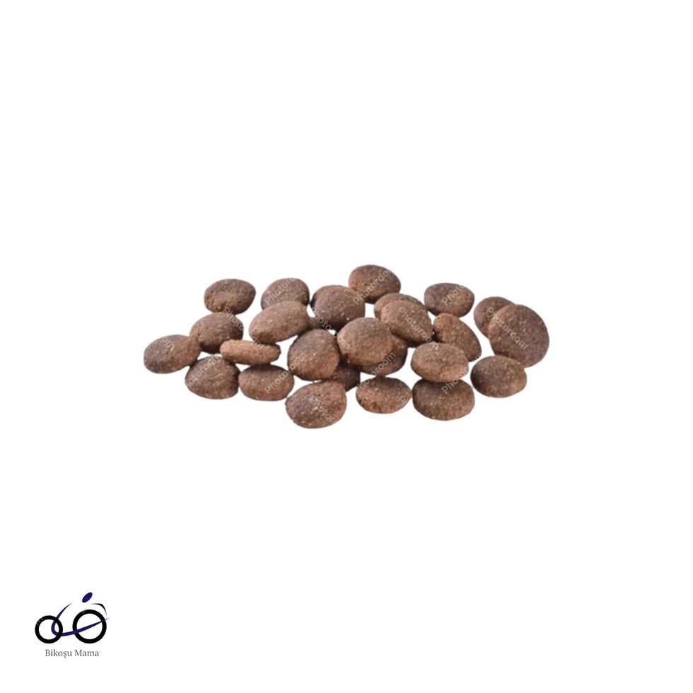 Skin & Coat Somonlu Tahılsız Büyük Irk Yetişkin Köpek Maması