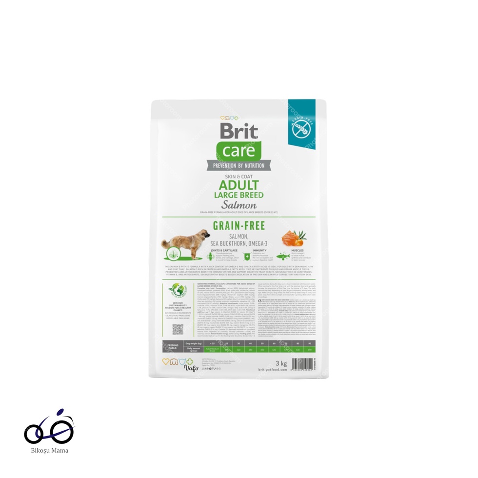 Skin & Coat Somonlu Tahılsız Büyük Irk Yetişkin Köpek Maması