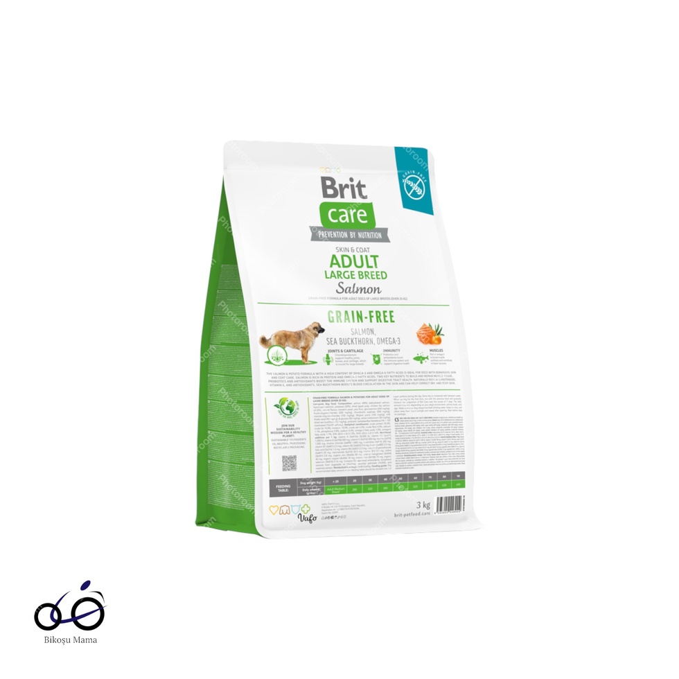 Skin & Coat Somonlu Tahılsız Büyük Irk Yetişkin Köpek Maması