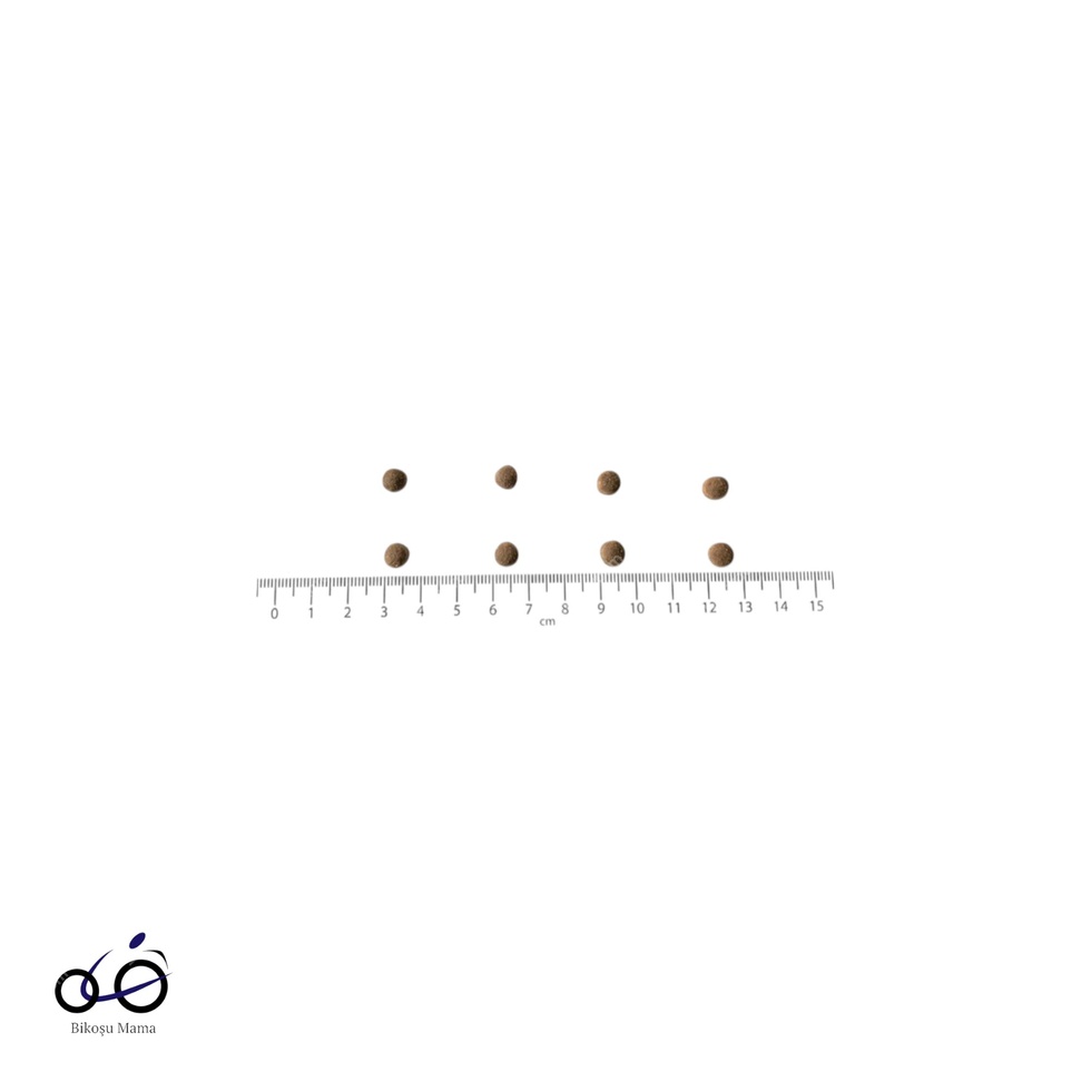 Gentle Digestion & Strong Immunity Somonlu Tahılsız Yavru Kedi Maması