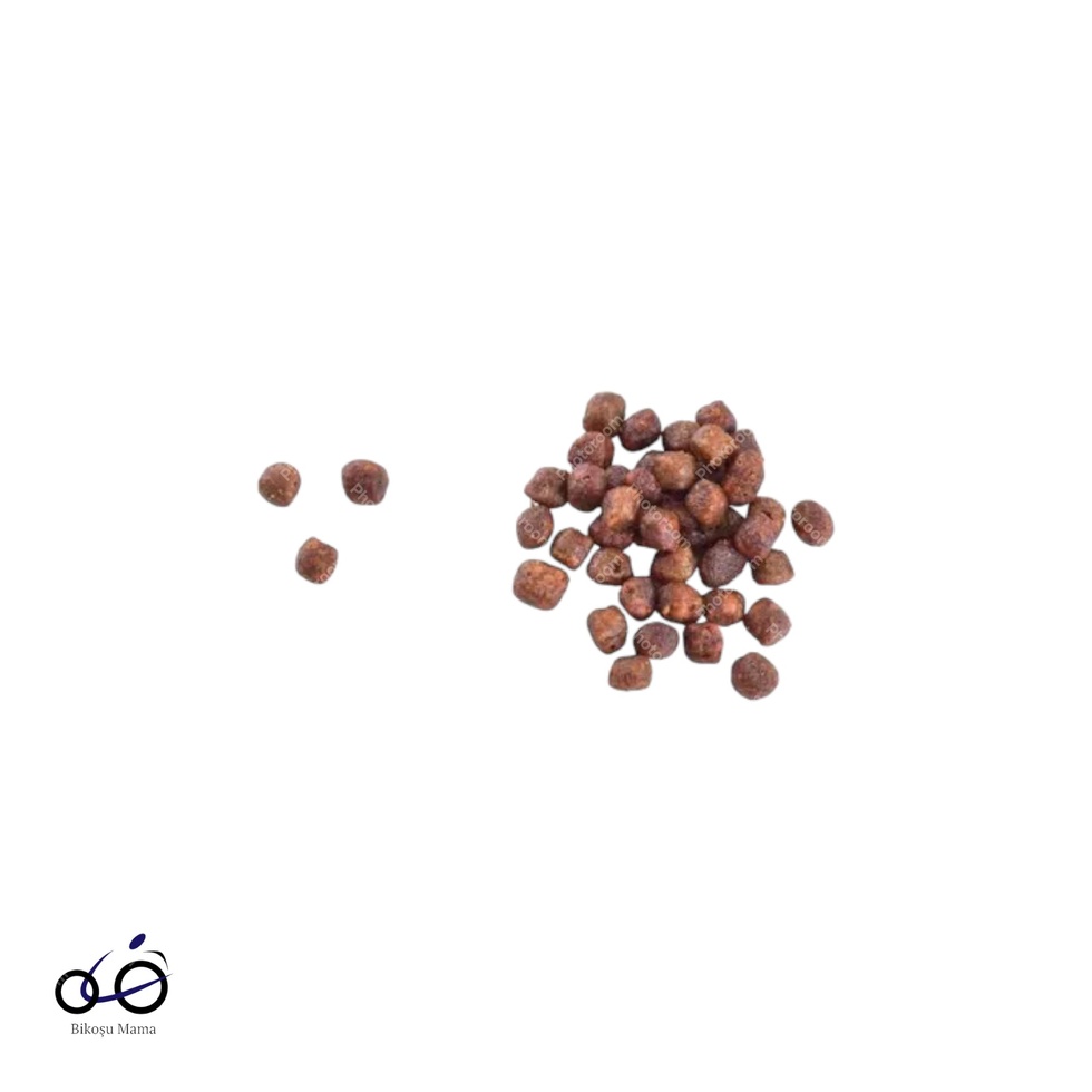 Gentle Digestion & Strong Immunity Somonlu Tahılsız Yavru Kedi Maması