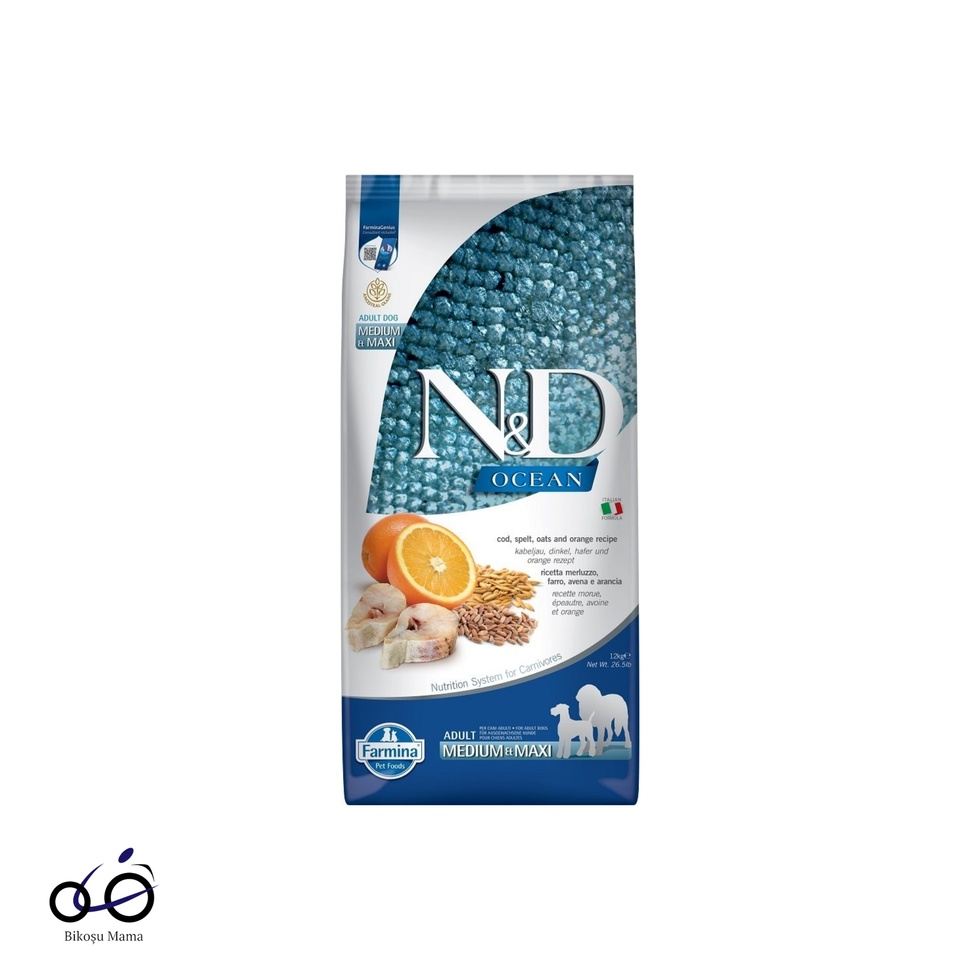 Ocean Morina Balıklı ve Portakallı Orta ve Büyük Irk Ata Tahıllı Yetişkin Köpek Maması 12kg