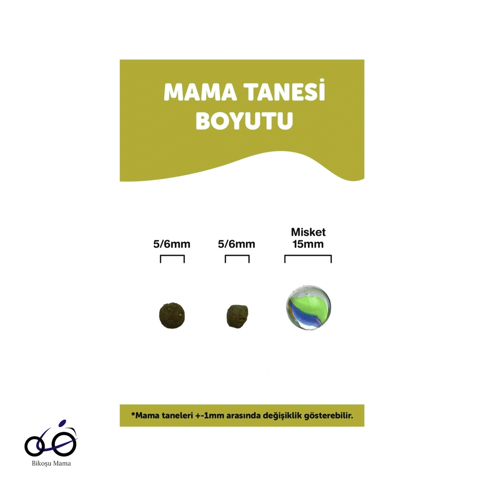 Somonlu Yavru Kedi Maması