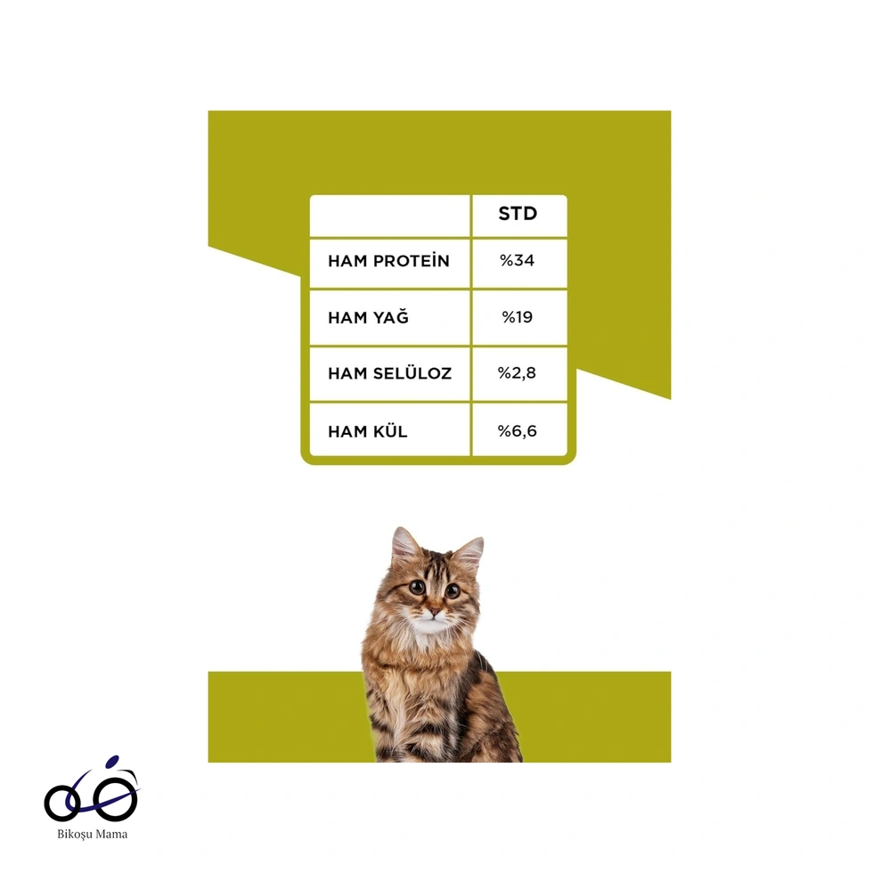 Somonlu Yavru Kedi Maması