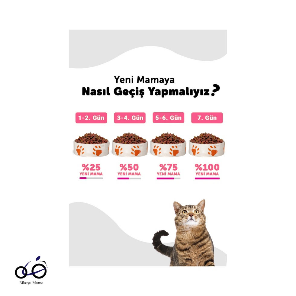 Somonlu Kısırlaştırılmış Kedi Maması