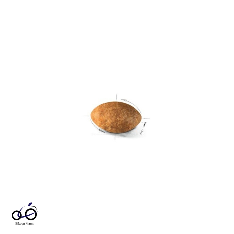 İran Kedisi için Yetişkin Kedi Maması