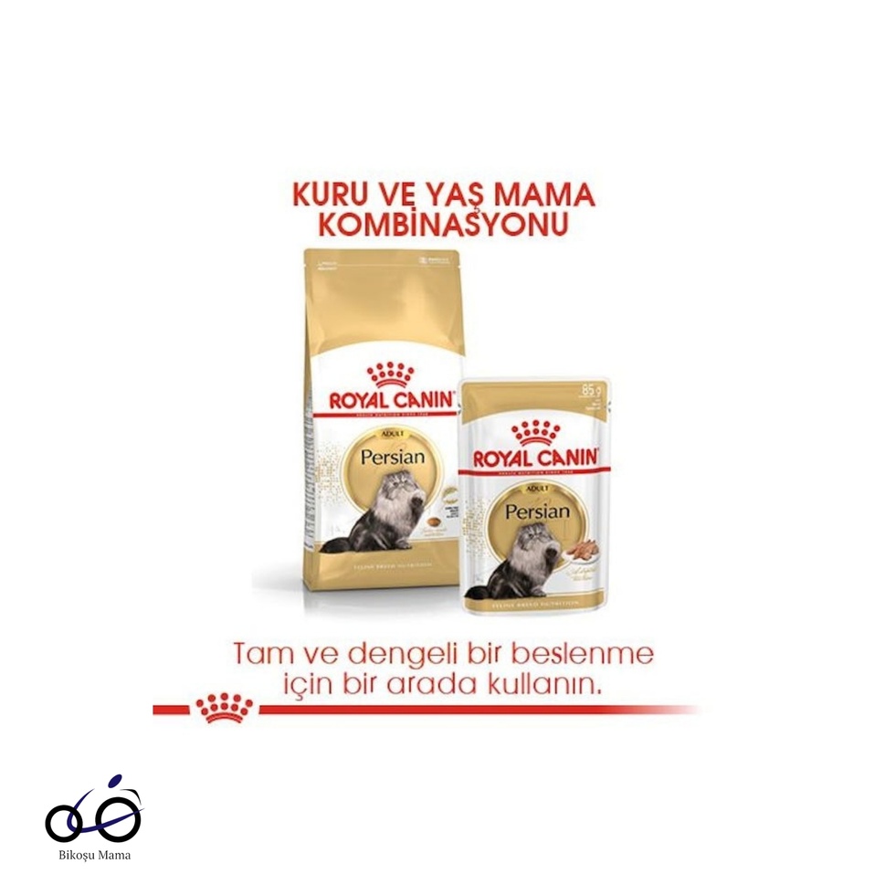İran Kedisi için Yetişkin Kedi Maması