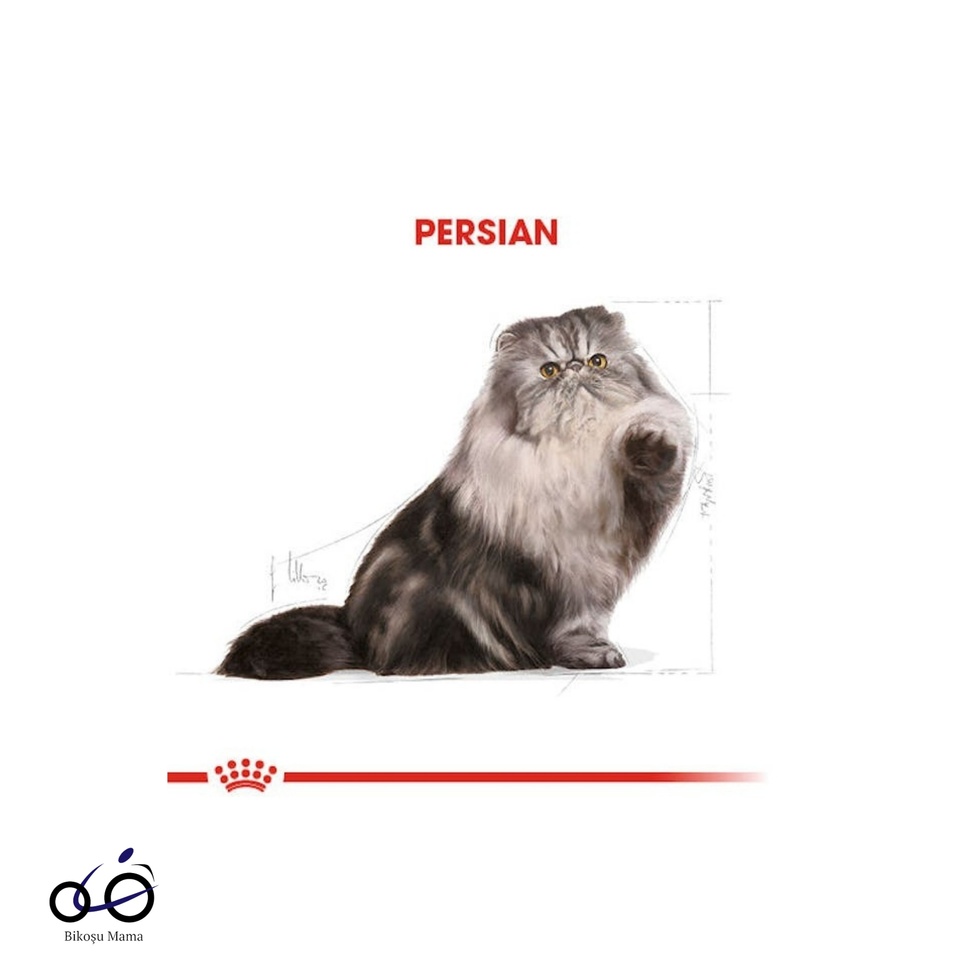 İran Kedisi için Yetişkin Kedi Maması