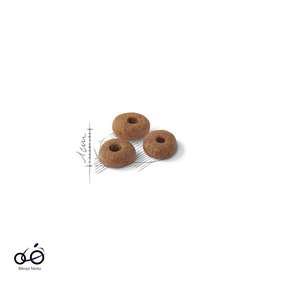 Fit 32 Yetişkin Kedi Maması