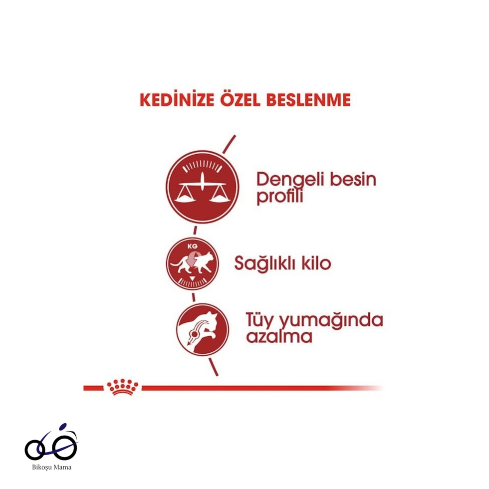 Fit 32 Yetişkin Kedi Maması