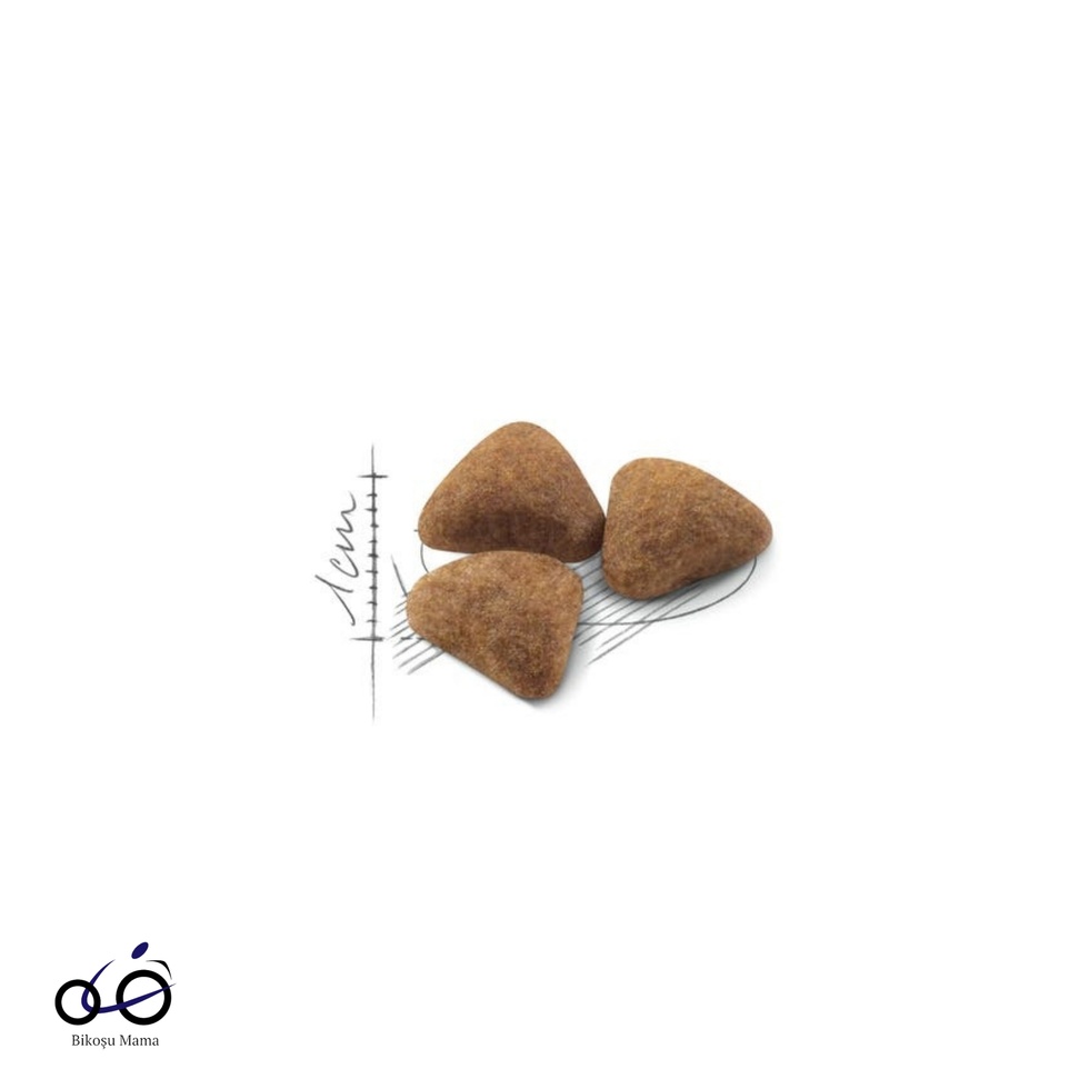 Indoor 27 Ev Kedileri için Yetişkin Kedi Maması