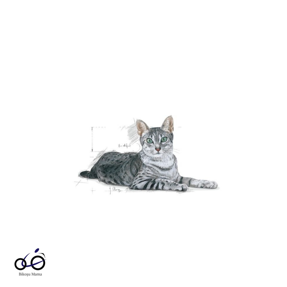 Indoor 7+ Ev Kedileri İçin Yaşlı Kedi Maması