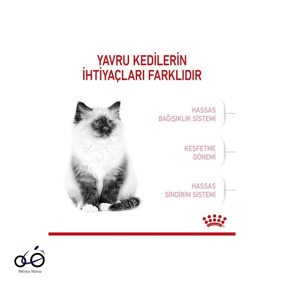 Yavru Kediler için Kedi Maması
