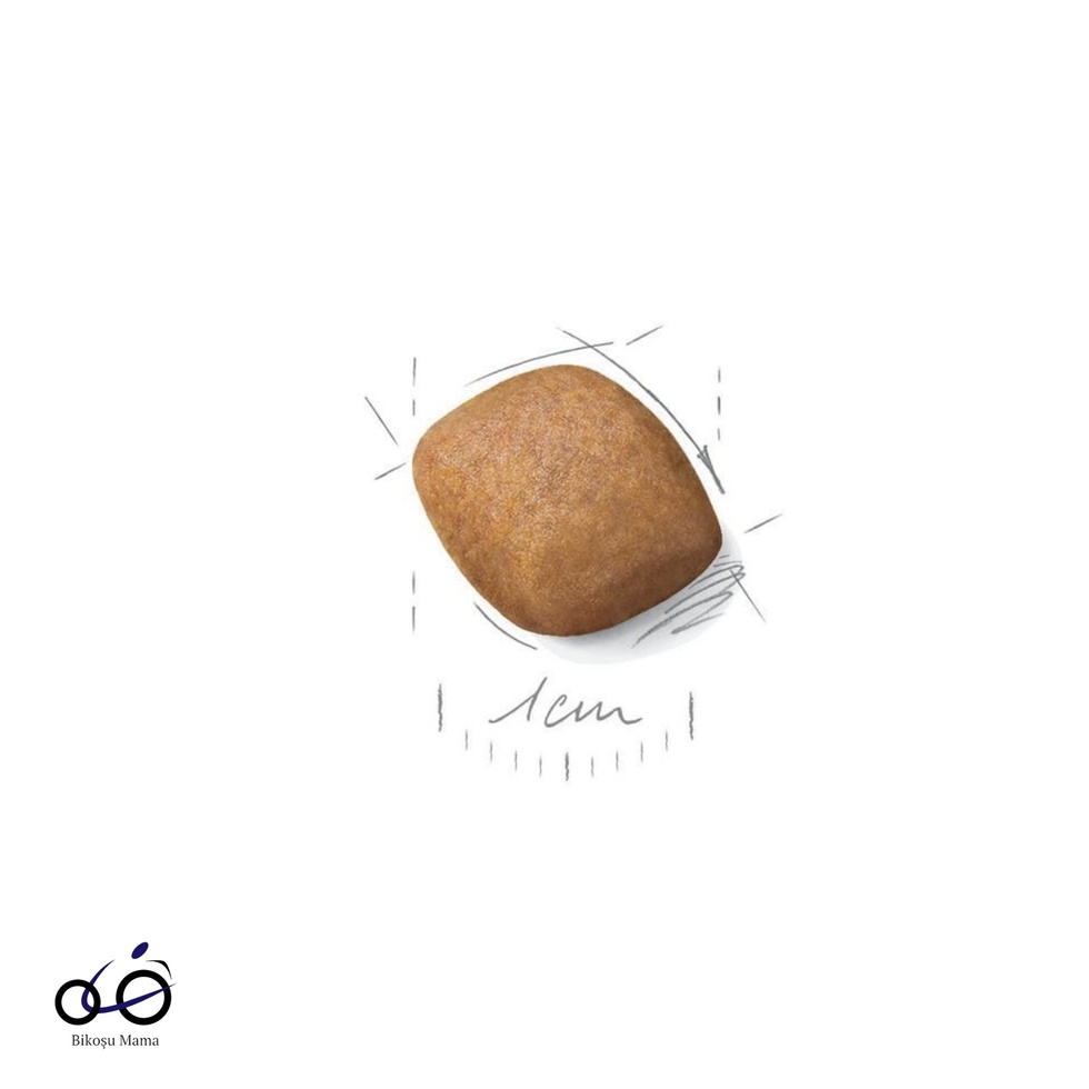 Pomeranian Yetişkin Köpek Maması