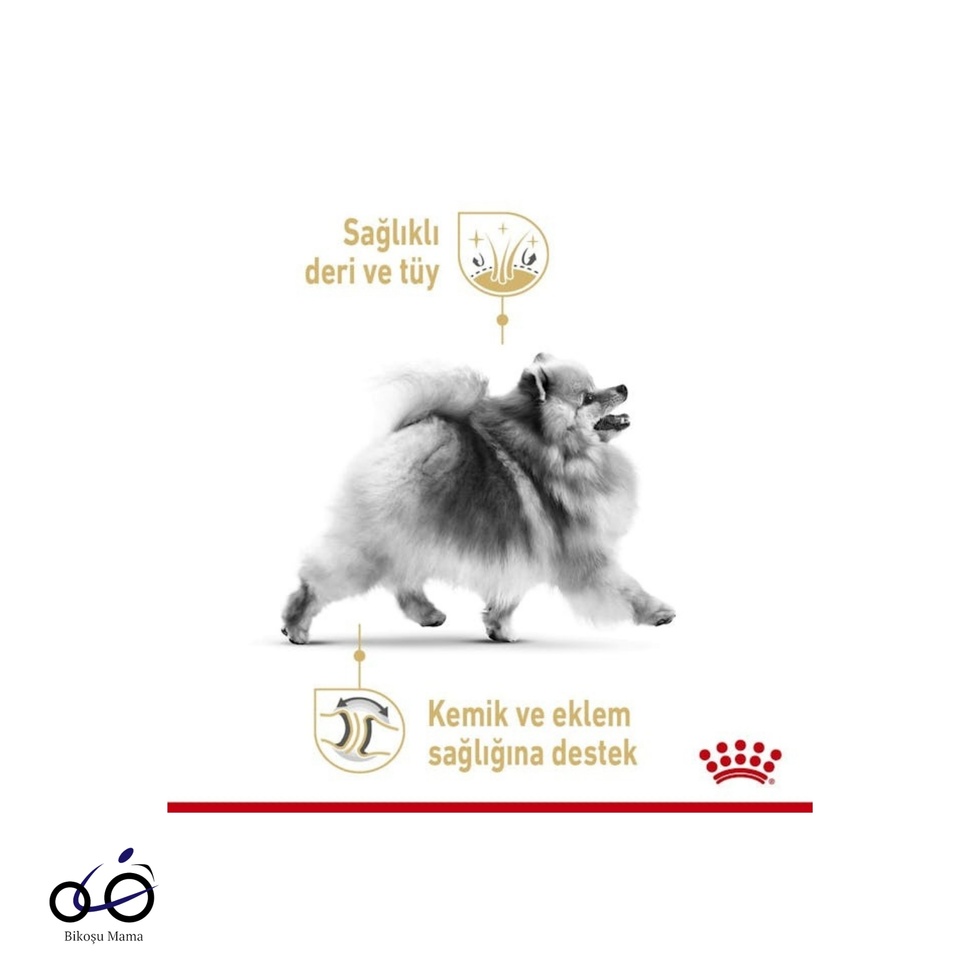 Pomeranian Yetişkin Köpek Maması