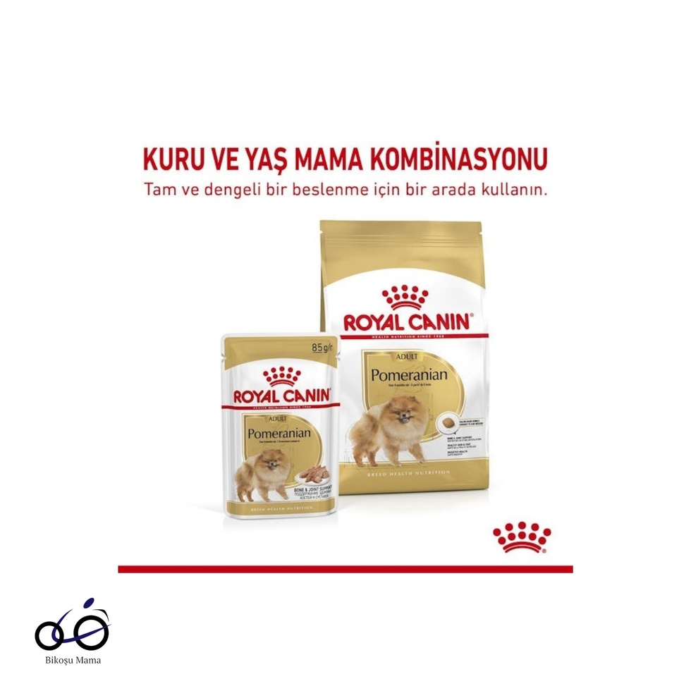 Pomeranian Yetişkin Köpek Maması