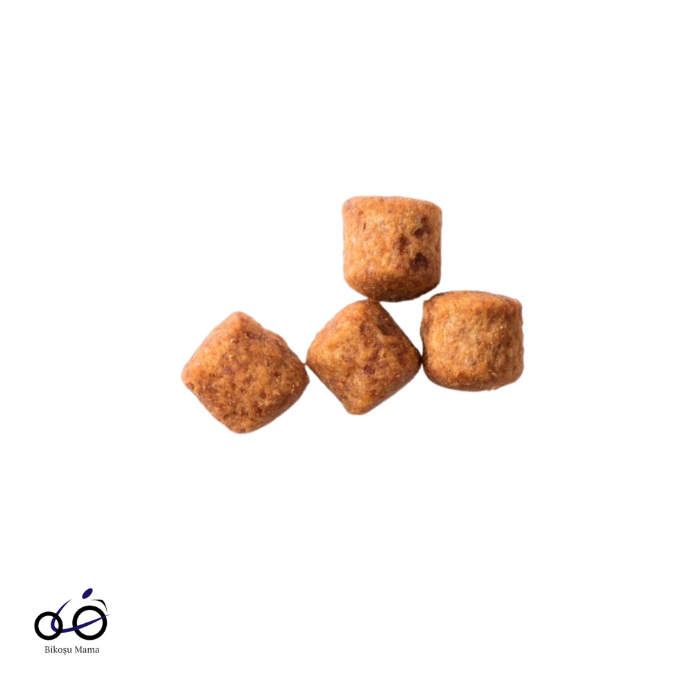 SCIENCE PLAN Light Tavuklu Büyük Irk Yetişkin Köpek Maması 14kg