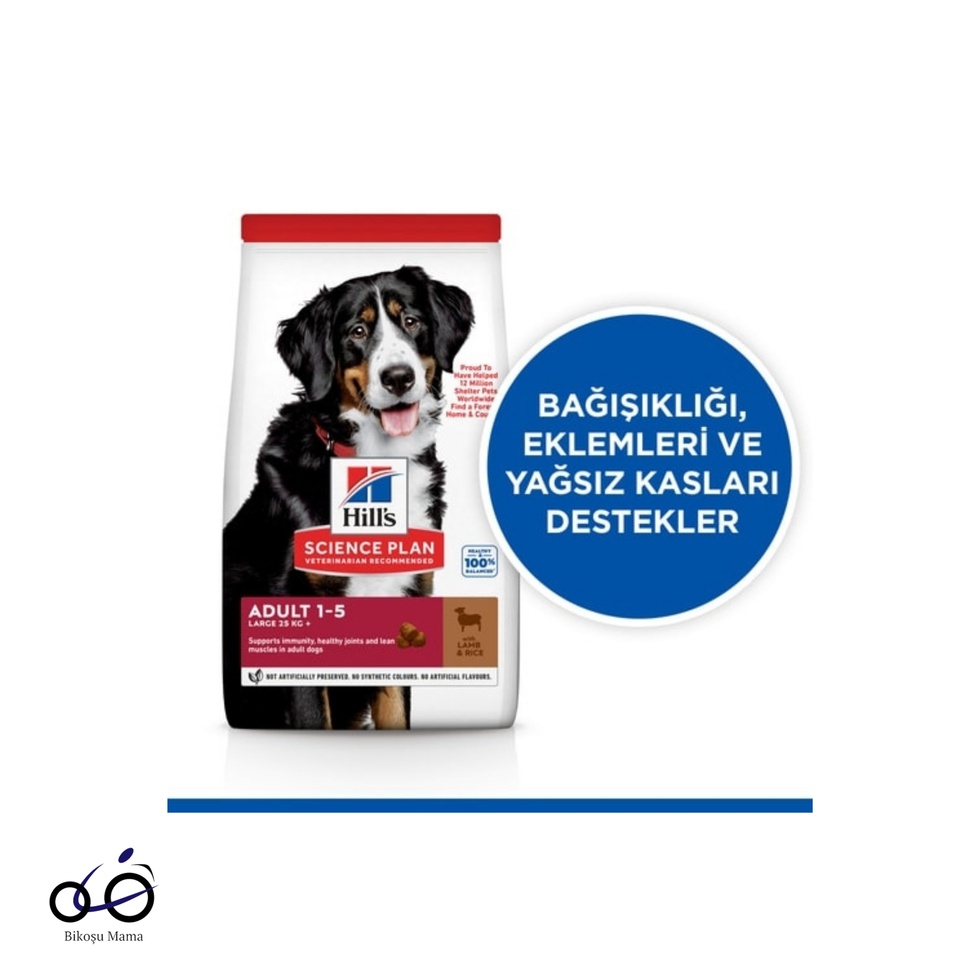 SCIENCE PLAN Kuzulu Büyük Irk Yetişkin Köpek Maması 14kg