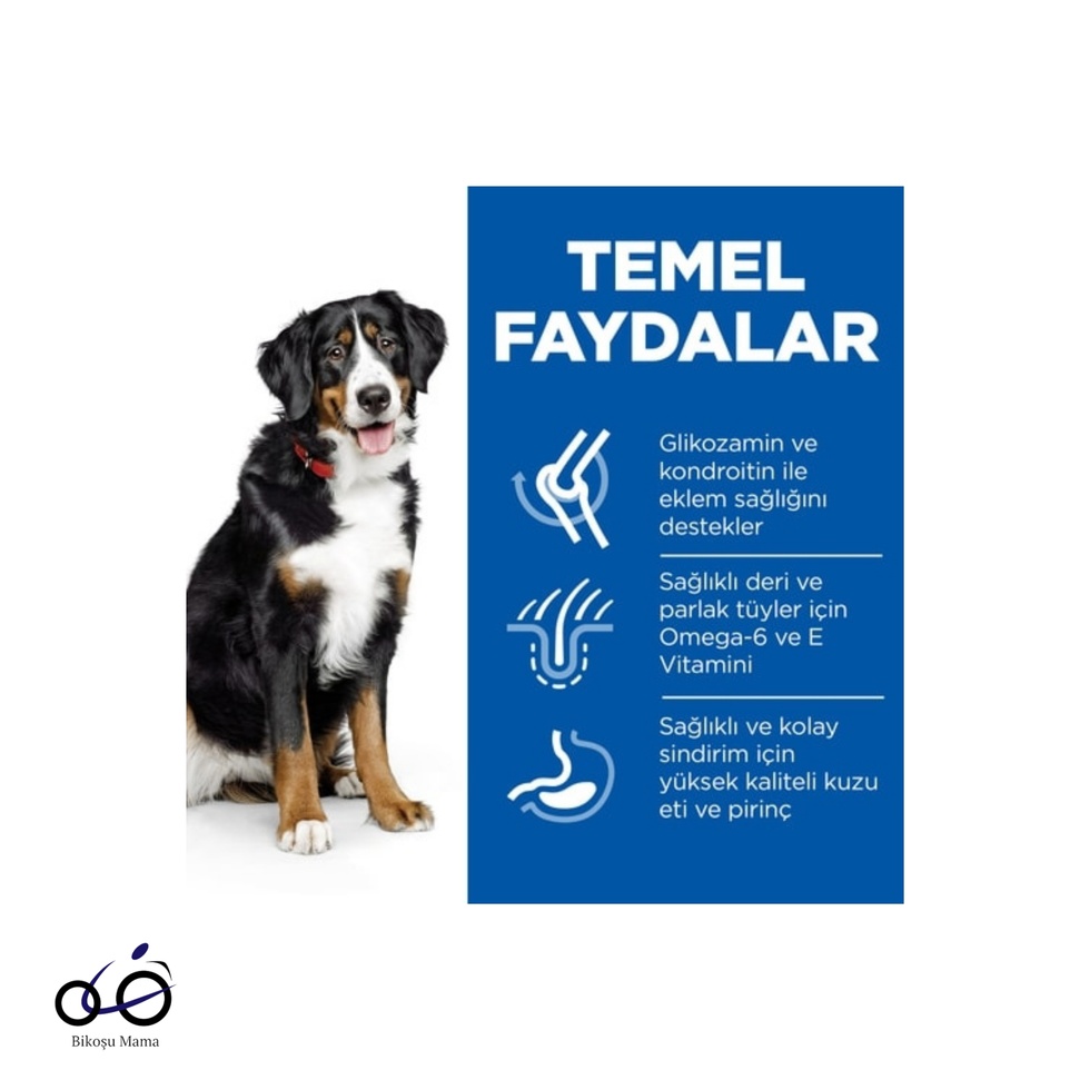 SCIENCE PLAN Kuzulu Büyük Irk Yetişkin Köpek Maması 14kg