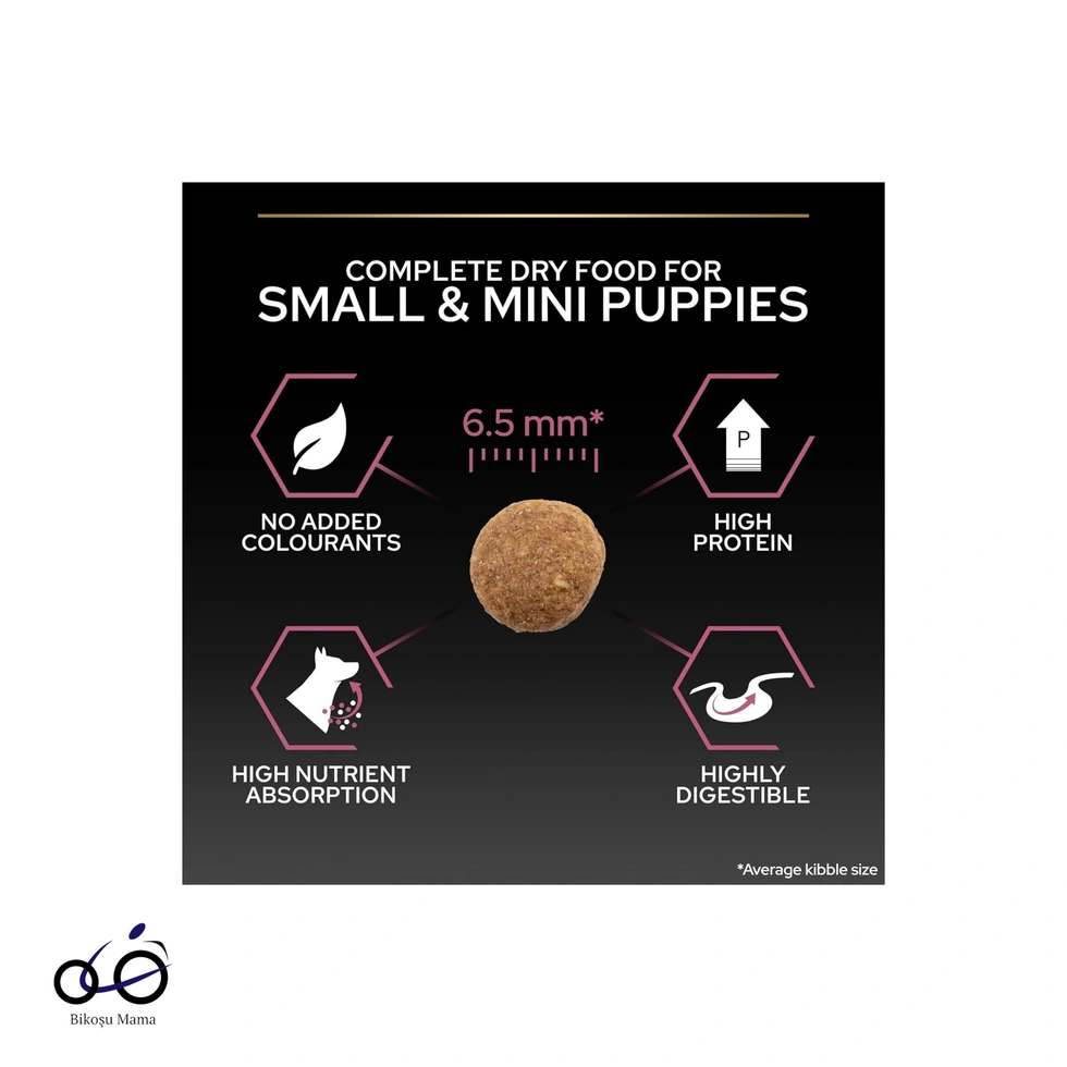 Small&Mini Sensitive Skin Somonlu ve Pirinçli Küçük Irk Yetişkin Köpek Maması