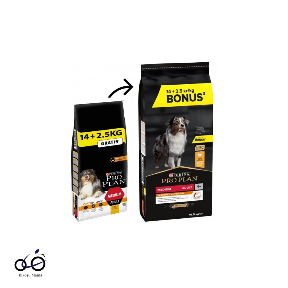 Medium Tavuklu Yetişkin Köpek Maması 16.5kg