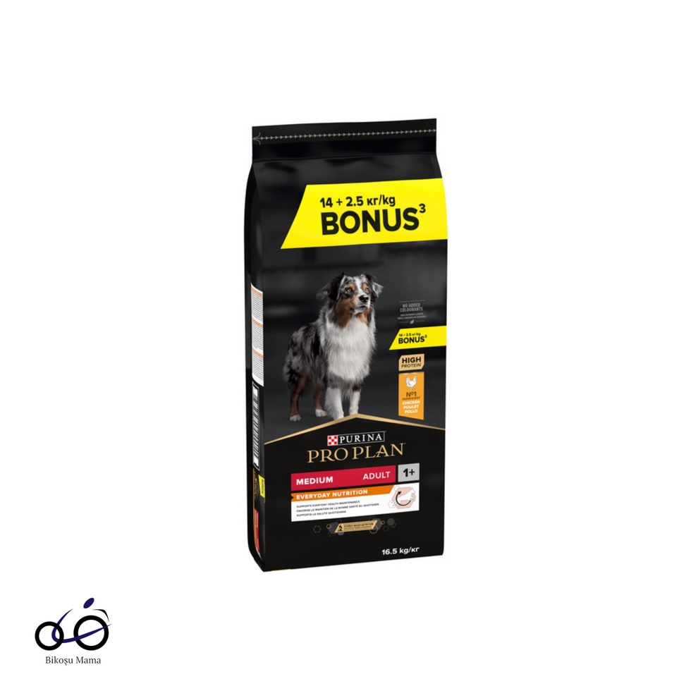 Medium Tavuklu Yetişkin Köpek Maması 16.5kg