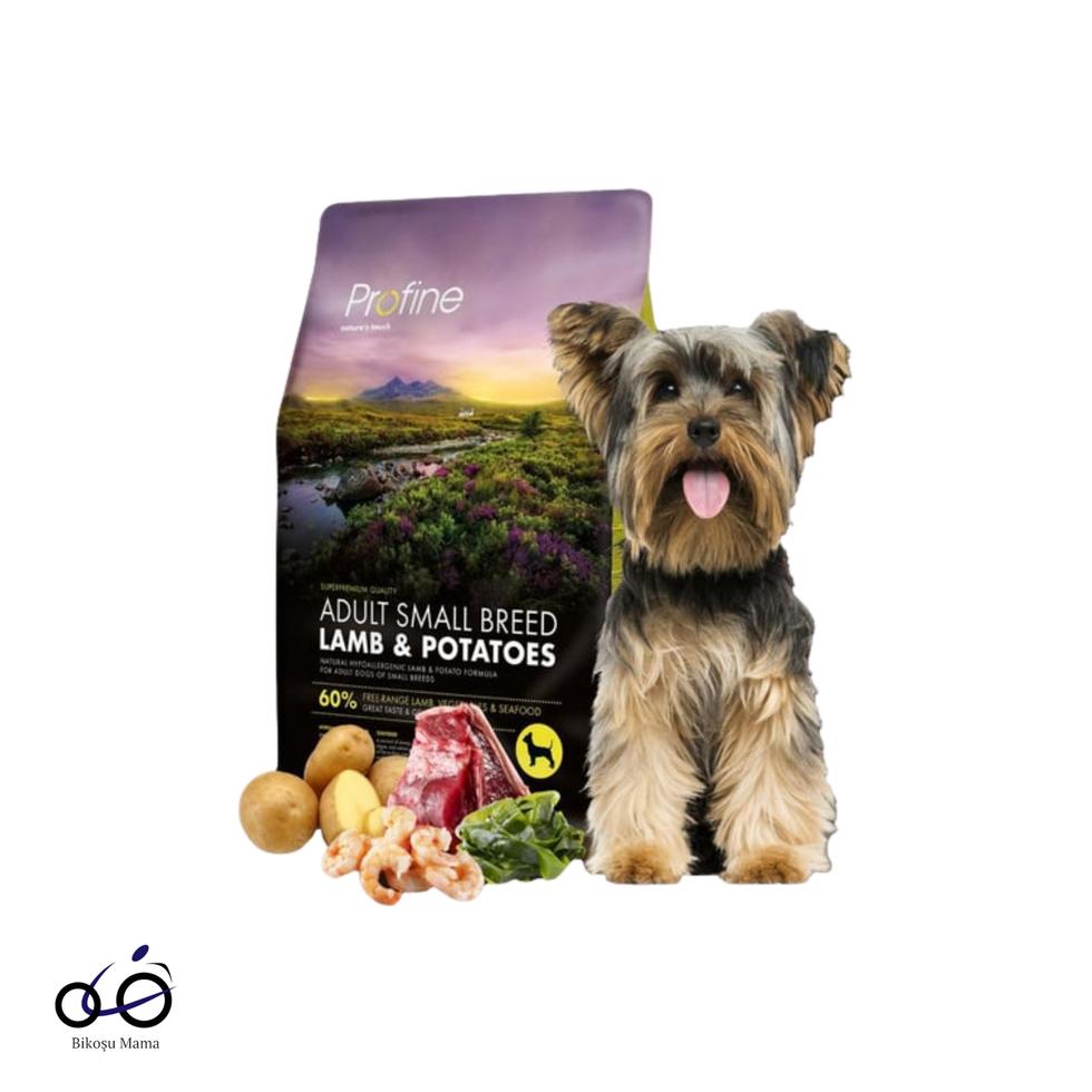 Adult Kuzu Etli Küçük Irk Yetişkin Köpek Maması 8kg