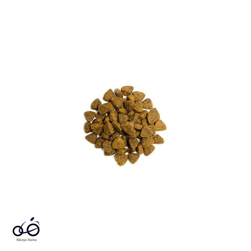 Somonlu Patatesli Yetişkin Kuru Köpek Maması 3kg