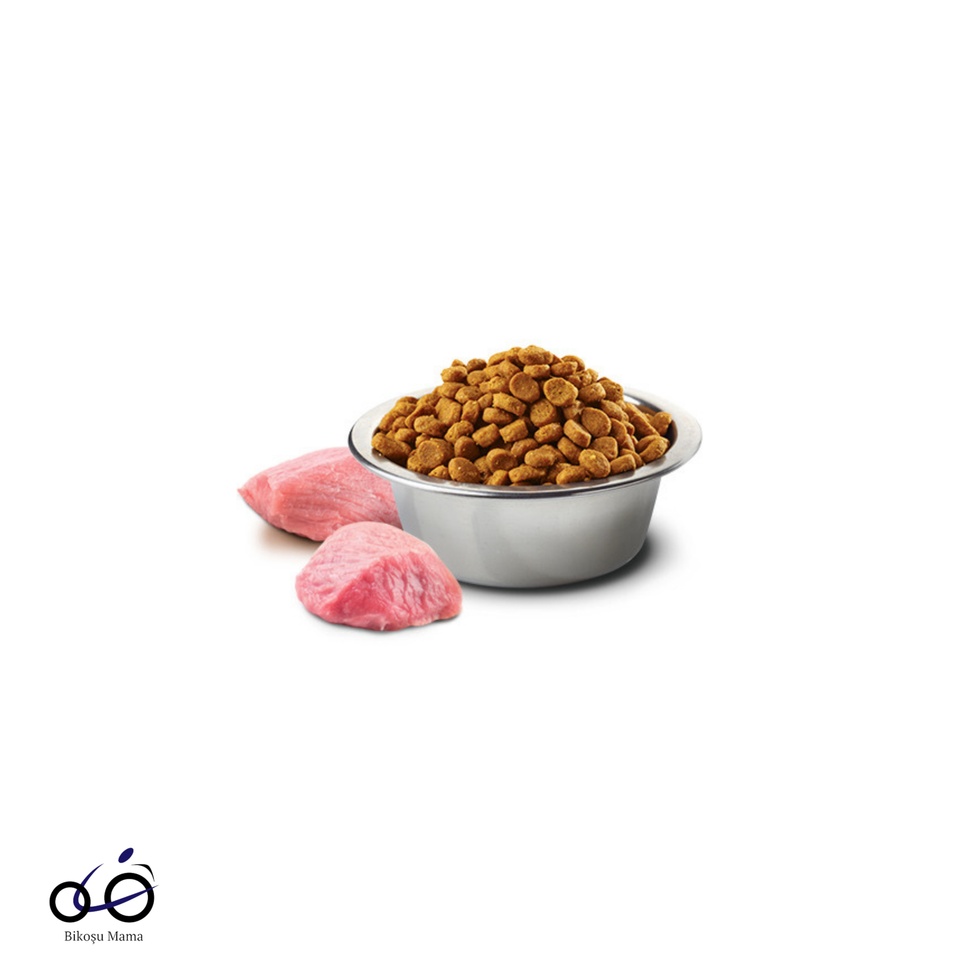 Pumpkin Tavuk Etli Bal Kabaklı ve Narlı Küçük Irk Tahılsız Yavru Köpek Maması