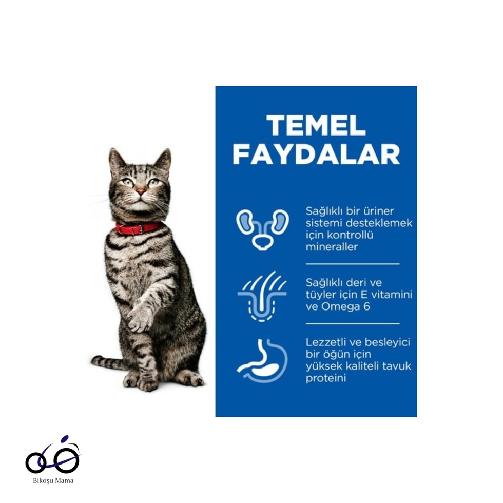 SCIENCE PLAN Üriner Sistem Tavuklu Yetişkin Kedi Maması 1,5kg