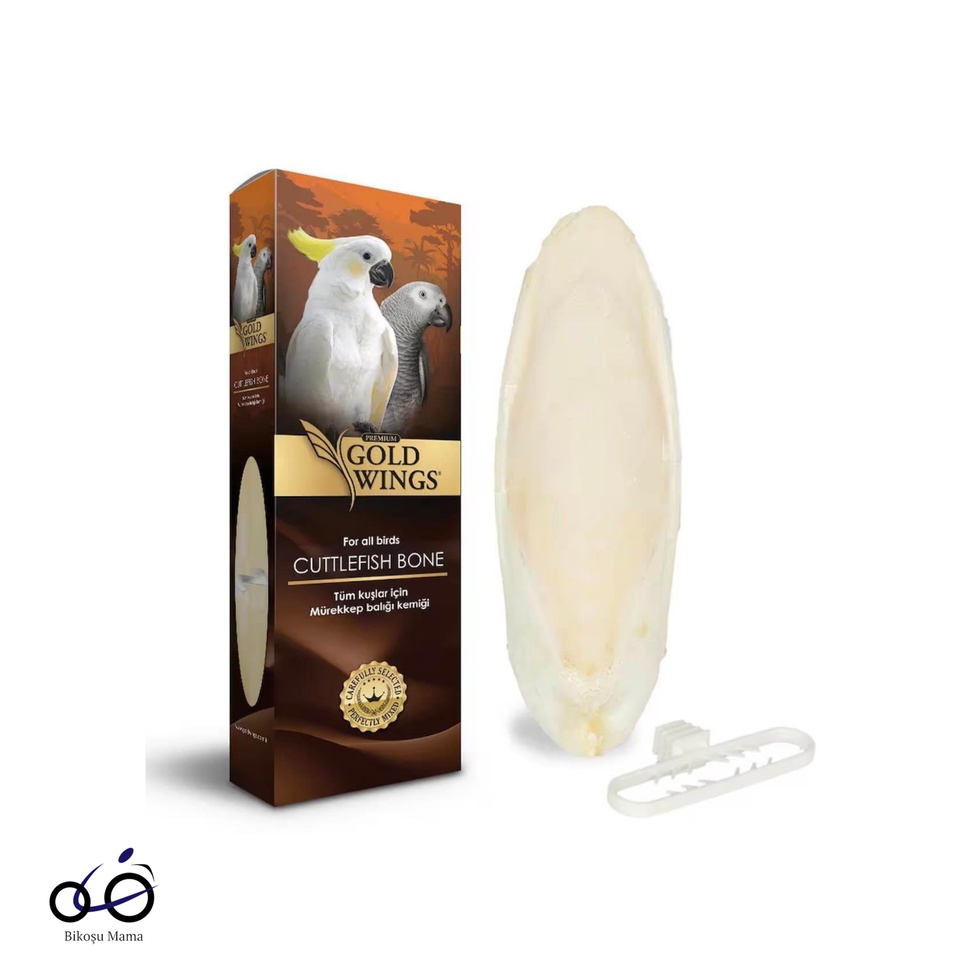 Premium Mürekkep Balığı Kemiği Gaga Taşı (Büyük Boy)