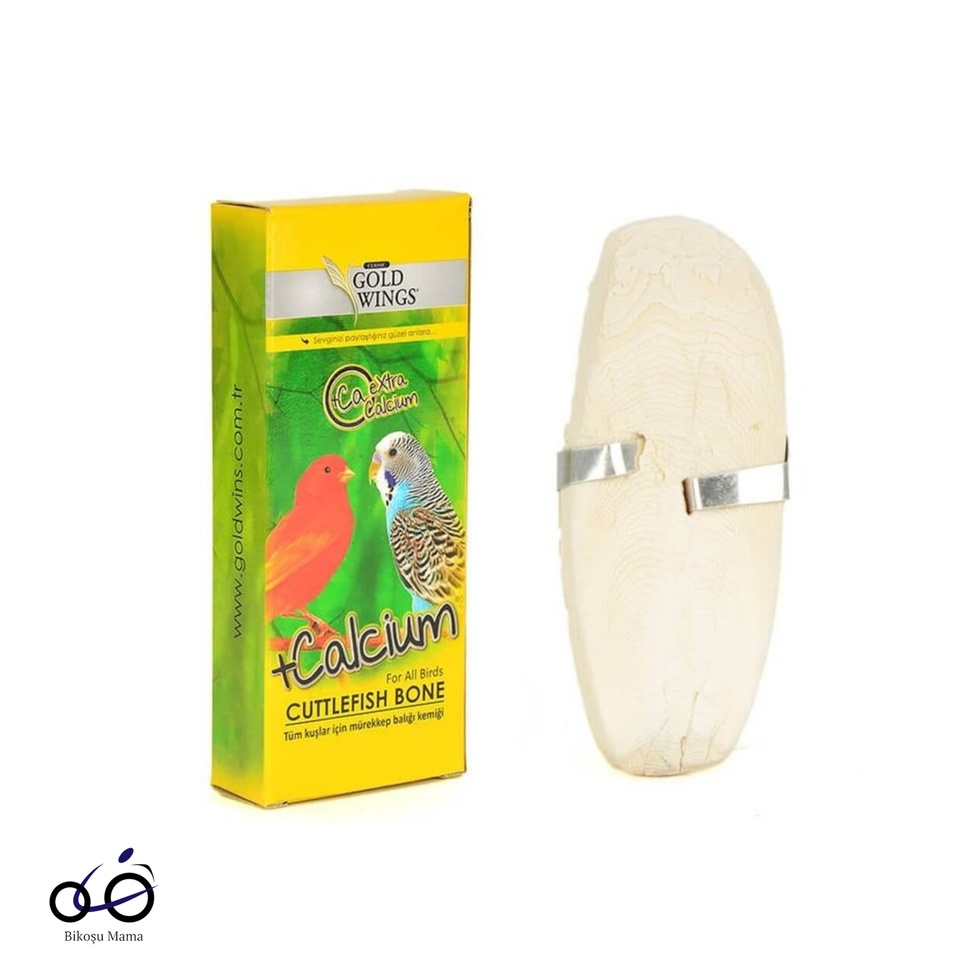 Classic Kutulu Mürekkep Balığı Kemiği Kuş Gaga Taşı