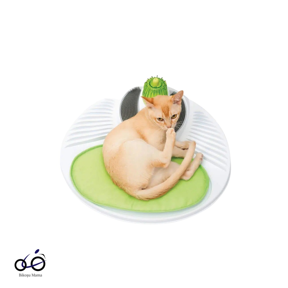 Senses Kedi Oyun Merkezi Kedi Oyun Çemberi